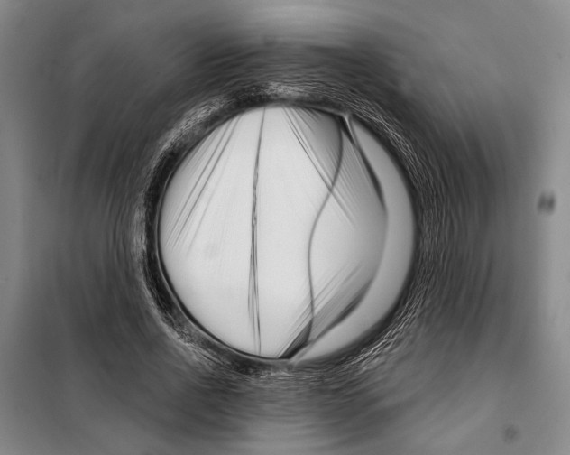 X0000097970734200804211011