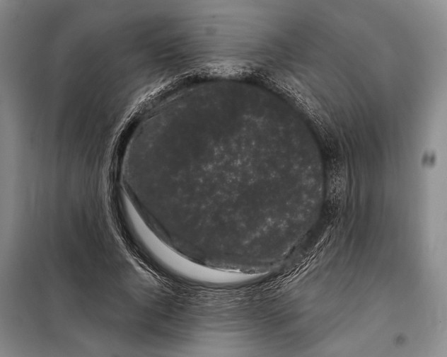 X0000097970736200804211011