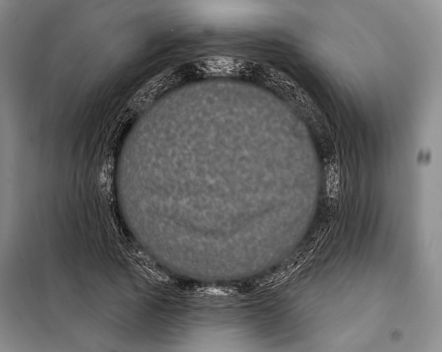 X0000097970737200804211011