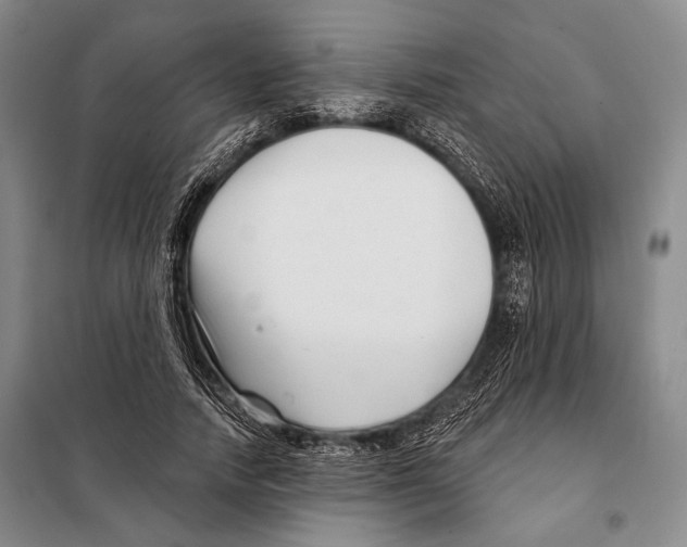 X0000097970738200804211011