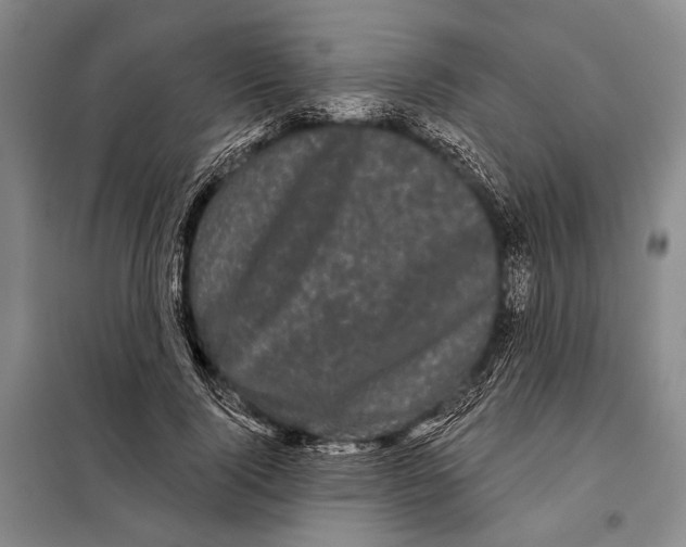 X0000097970740200804211011