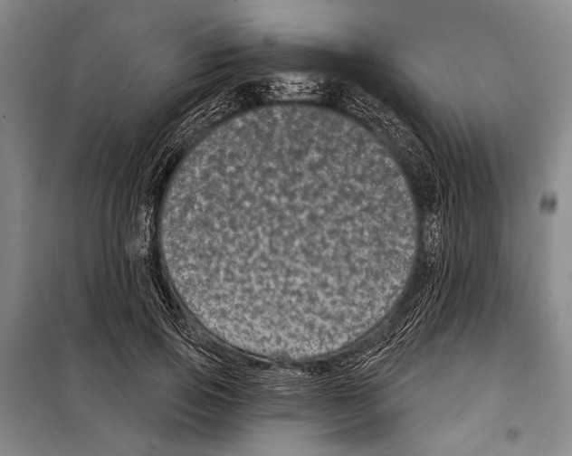 X0000097970741200804211011