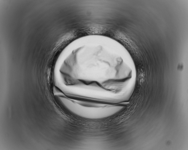 X0000097970742200804211011