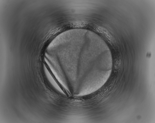 X0000097970743200804211011