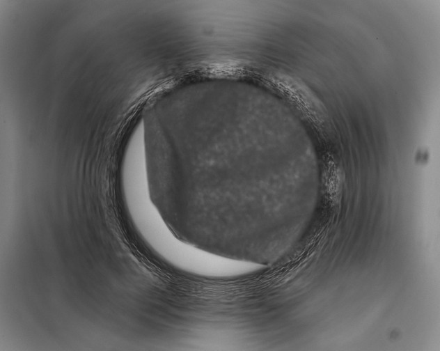 X0000097970744200804211011