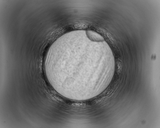 X0000097970745200804211011