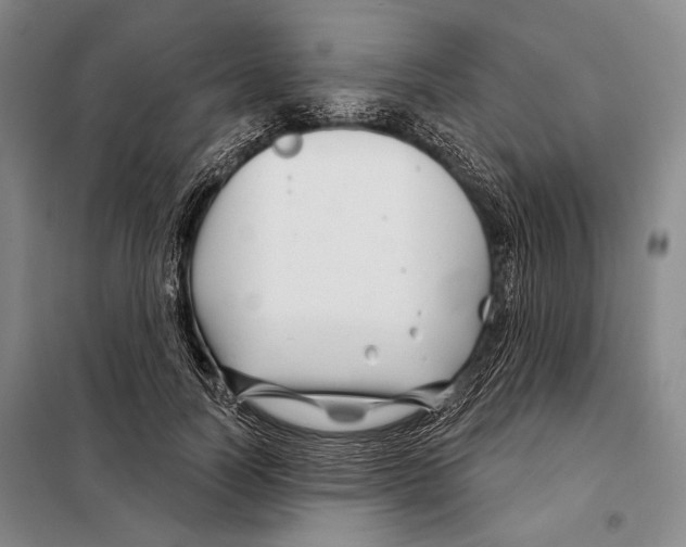 X0000097970746200804211011