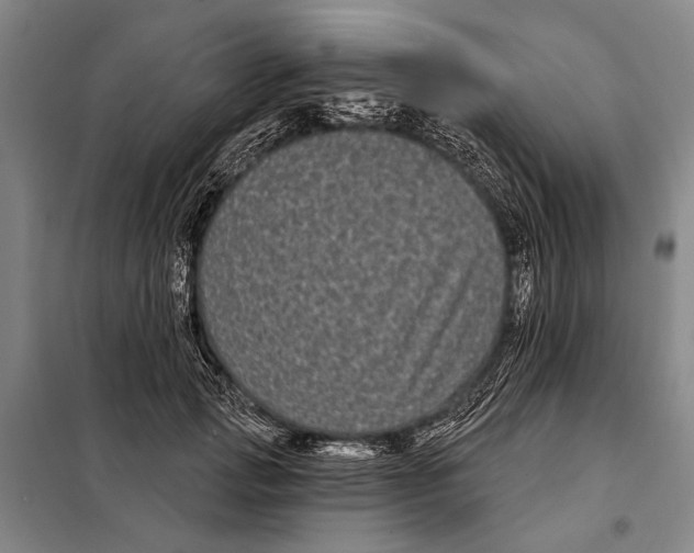 X0000097970749200804211011