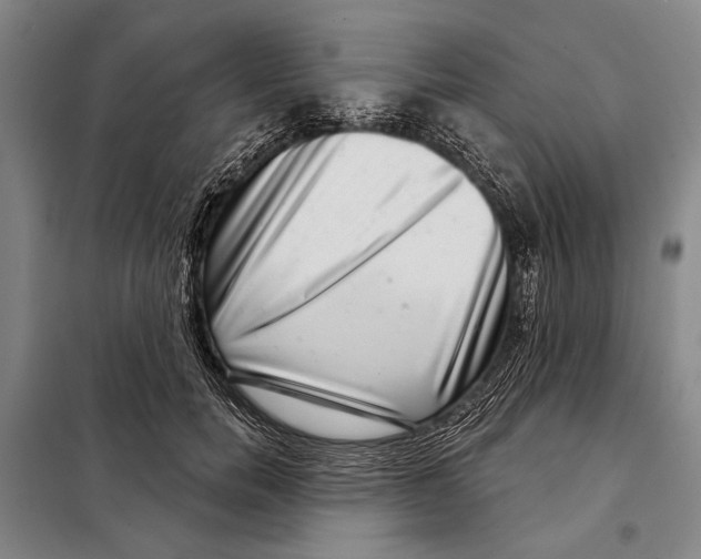 X0000097970750200804211011