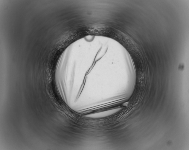 X0000097970751200804211011