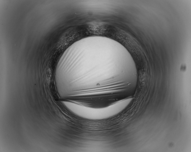 X0000097970752200804211011
