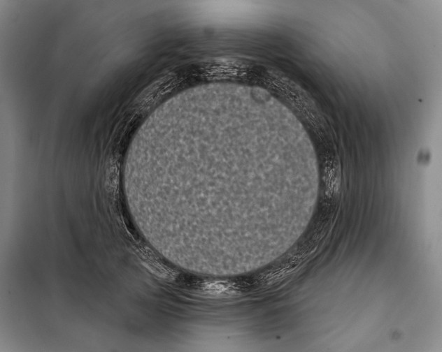 X0000097970753200804211011