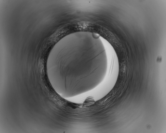 X0000097970754200804211011
