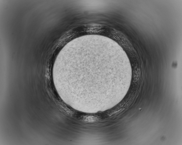 X0000097970755200804211011