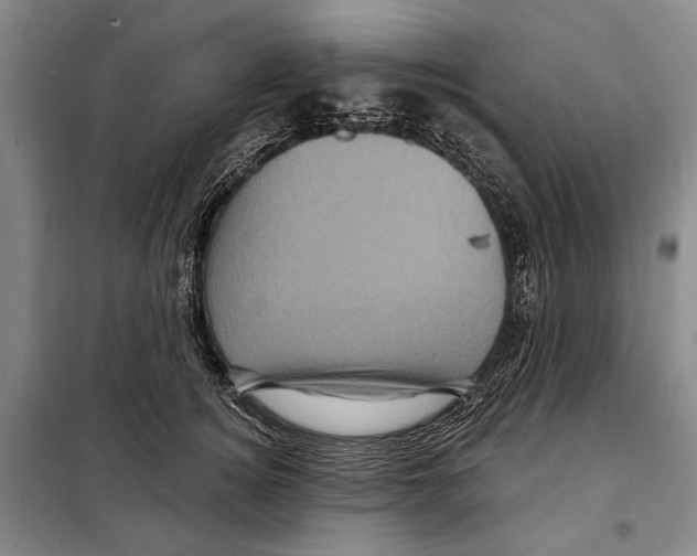 X0000097970756200804211011