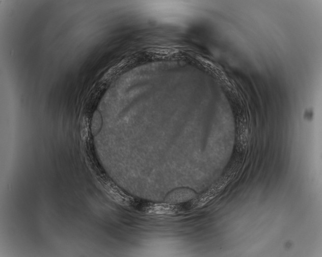 X0000097970758200804211011