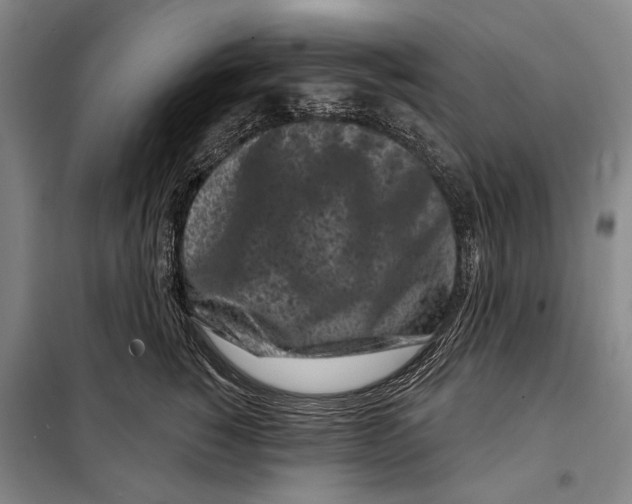 X0000097970760200804211011