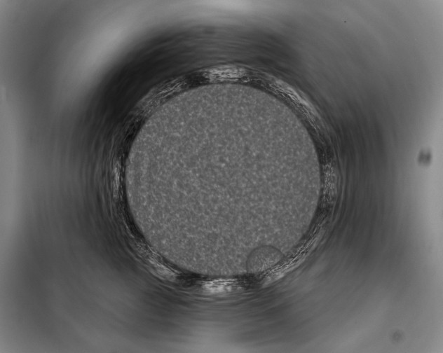 X0000097970761200804211011