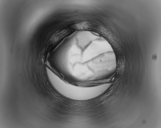 X0000097970762200804211011