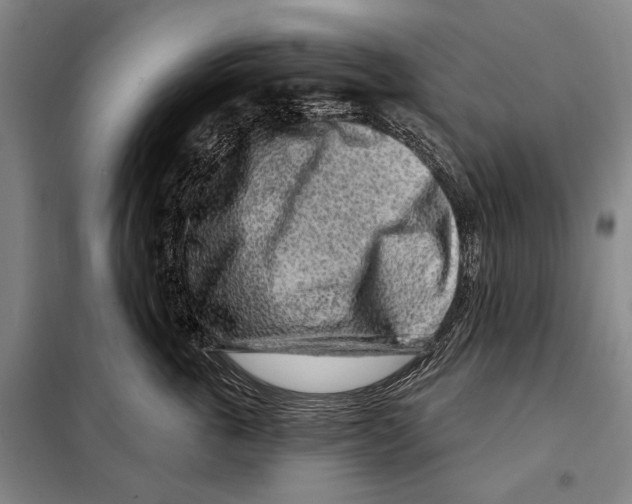 X0000097970763200804211011