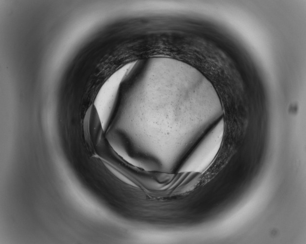 X0000097970766200804211011