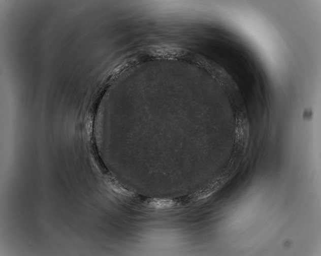 X0000097970767200804211011