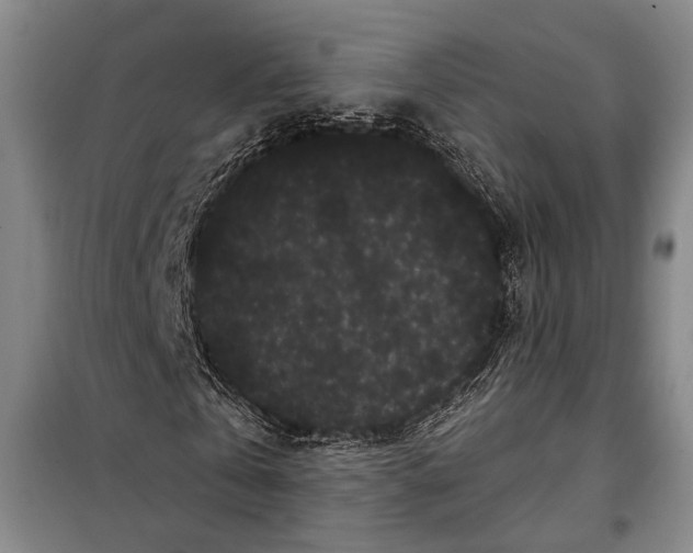 X0000097970769200804211010