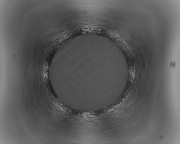 X0000097970770200804211010