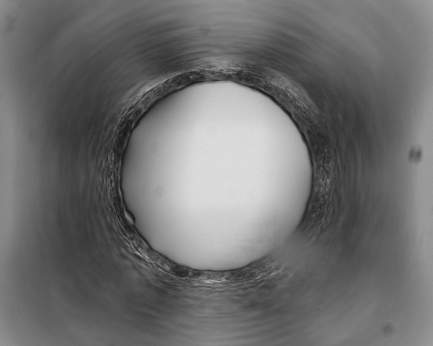 X0000097970773200804211010