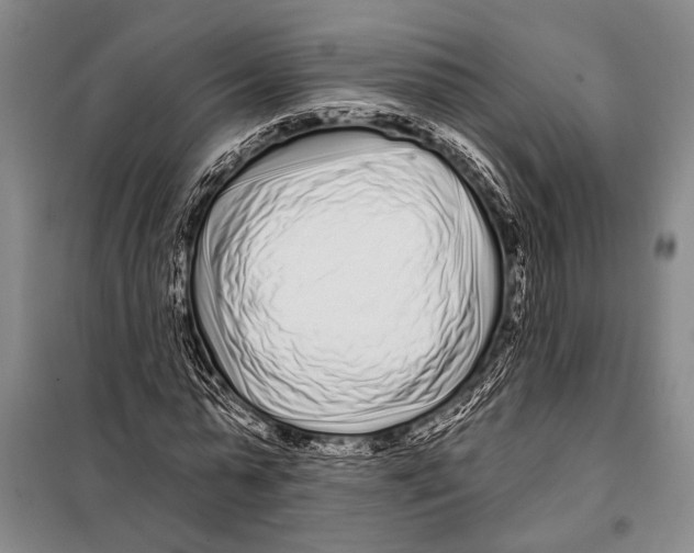X0000097970775200804211010