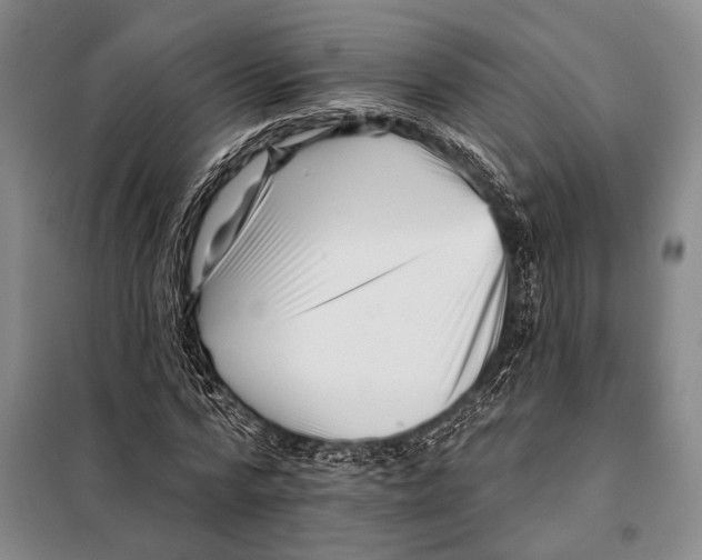 X0000097970776200804211010