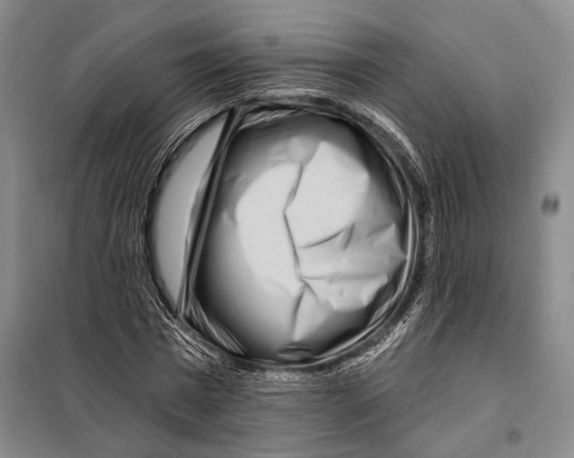 X0000097970777200804211010