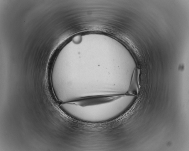 X0000097970780200804211010