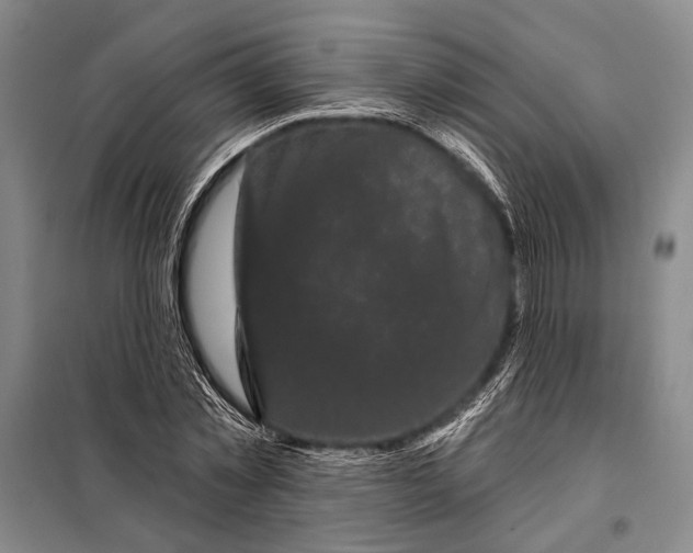 X0000097970781200804211010