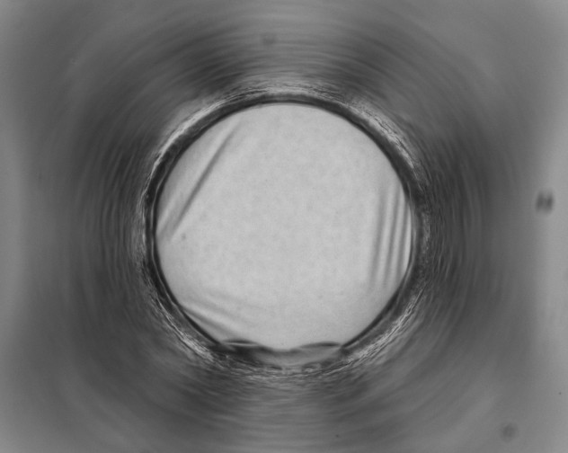 X0000097970782200804211010