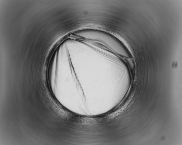 X0000097970783200804211010