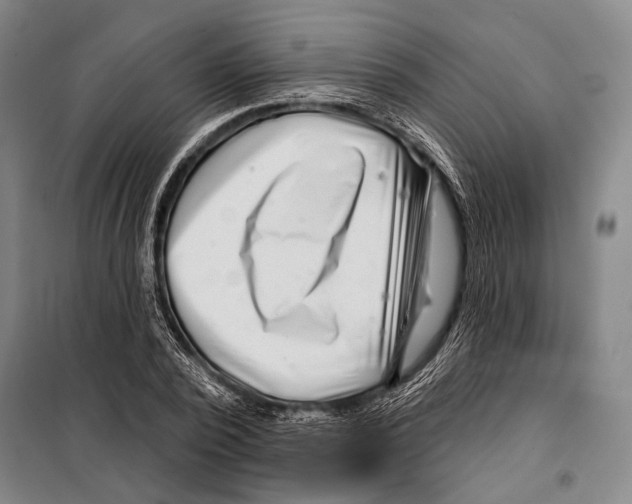 X0000097970784200804211010