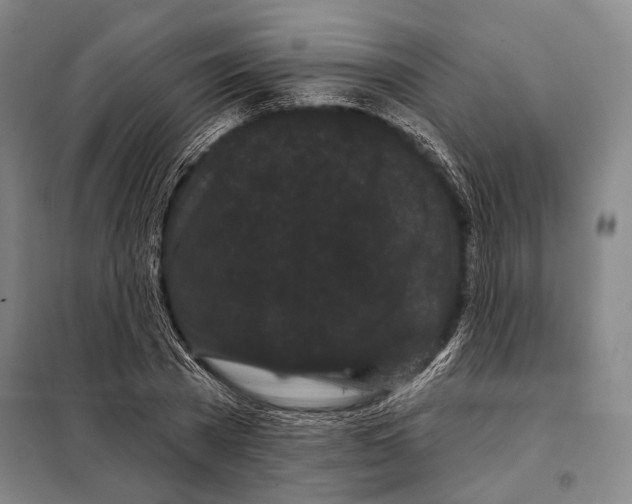 X0000097970785200804211010