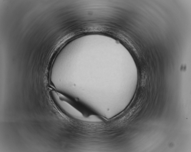 X0000097970786200804211010
