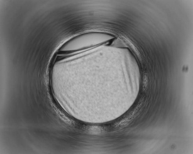 X0000097970787200804211010