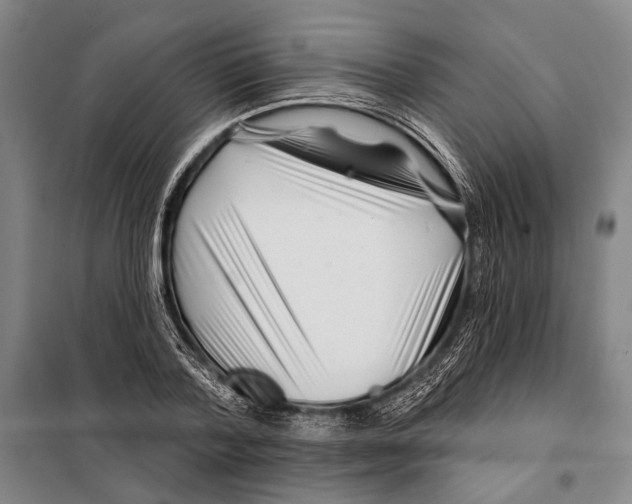 X0000097970788200804211010