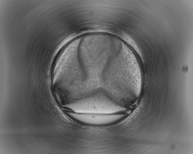 X0000097970789200804211010