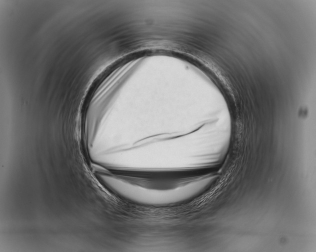 X0000097970791200804211010