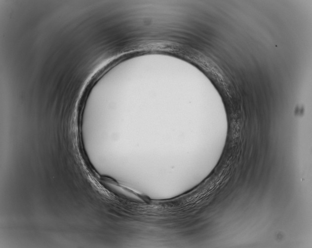 X0000097970792200804211010