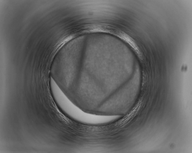 X0000097970793200804211010