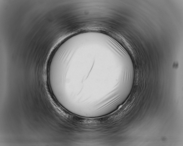 X0000097970795200804211010