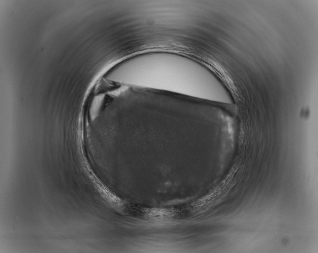 X0000097970796200804211010