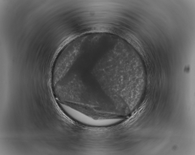 X0000097970797200804211010