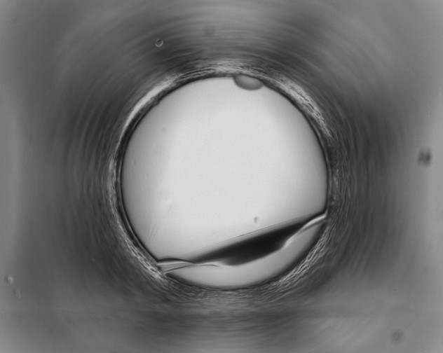 X0000097970798200804211010