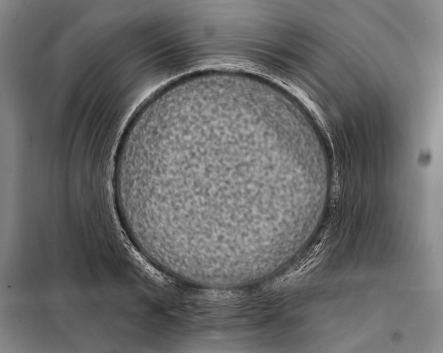 X0000097970799200804211010
